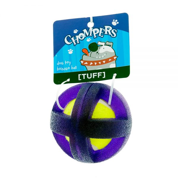 boingo-dog-ball-purple
